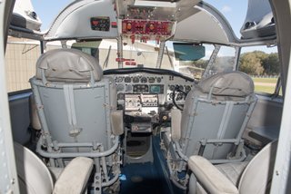 inside albatross