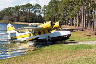 Goose coming up ramp